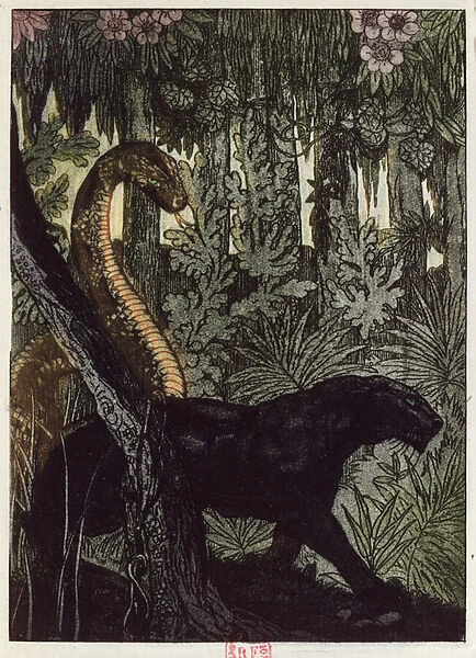 Ks Hunt, illustration from The Jungle Book