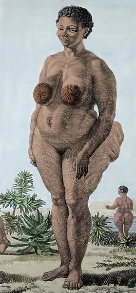 La Venus Hottentote, woman of breed Bochiman; (The Hottentot Venus) engraving of 1815