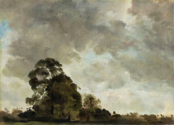 Landscape at Hampstead, Tree and Storm Clouds, c. 1821 (oil on paper laid down on panel)