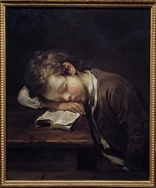 The lazy little one. Portrait of a young boy who slew on his book