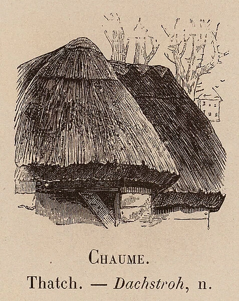 Le Vocabulaire Illustre: Chaume; Thatch; Dachstroh (engraving)
