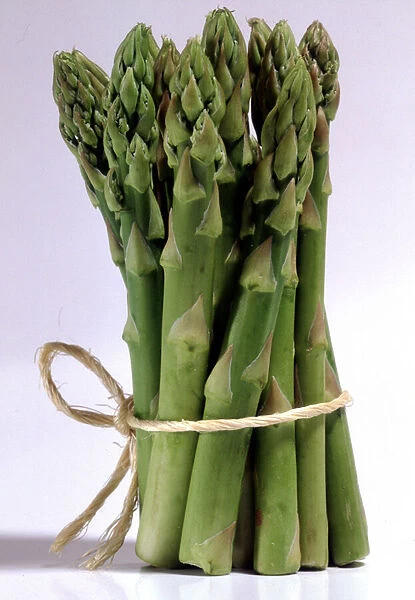 Still life with asparagus