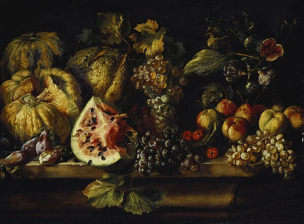 Still Life of Water Melon, Grapes, Plums, Peaches, Cherries and other Fruit on a Ledge