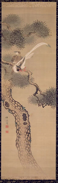 Long-tailed birds in pine tree, c. 1800 (ink and colours on silk)