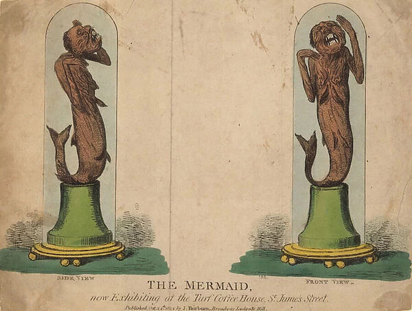 The Mermaid, now exhibited at the Turf Coffee House (coloured engraving)