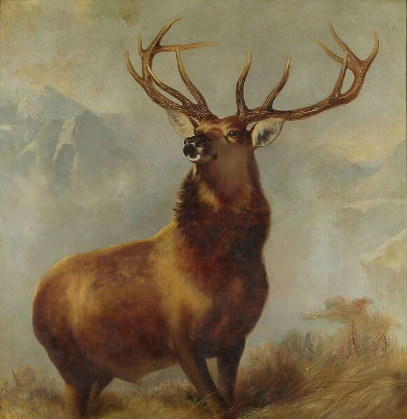 Monarch of the Glen (oil on canvas)
