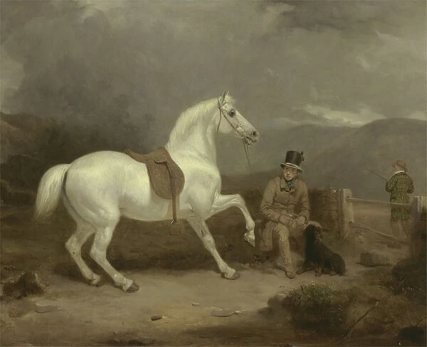 Mr. Johnstone Kings Grey Shooting Pony Waiting with a Groom on a Scottish Moor