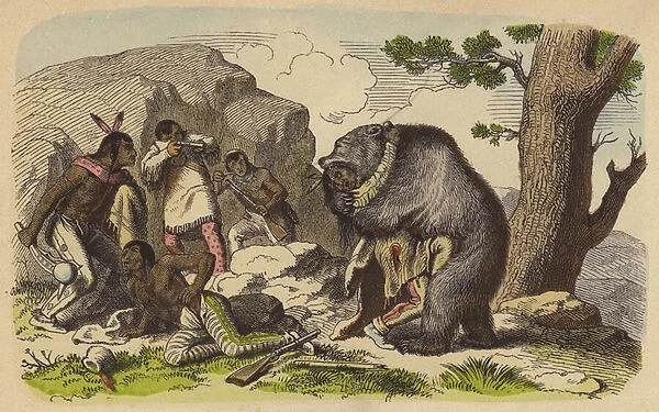 Native Americans hunting bears (coloured engraving)
