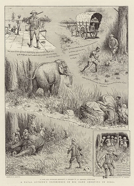 A Naval Officers Experience in Big Game Shooting in India (engraving)