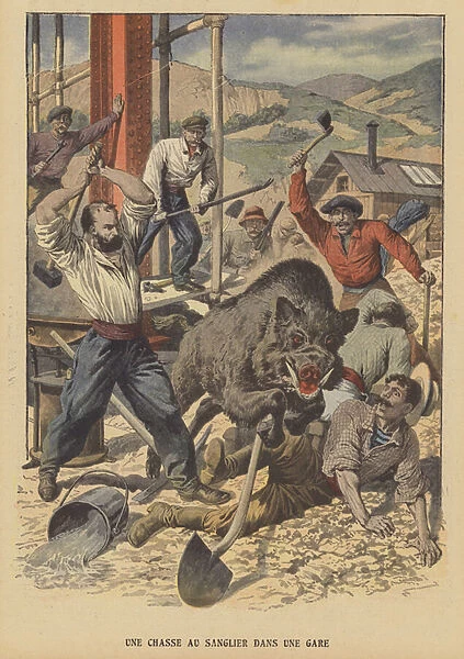Navvies attacking a wild boar loose in a railway station in the Auvergne, France (colour litho)