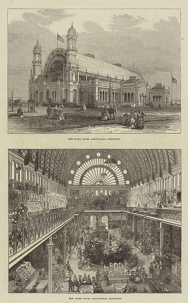 New South Wales Agricultural Exhibitions (engraving)