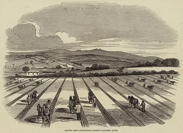 Newton Abbot Agricultural Societys Ploughing Match (engraving)