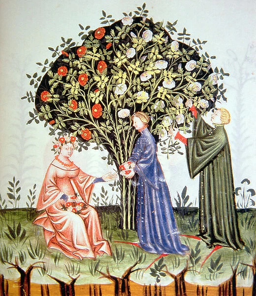 Nova 2644 fol. 38r Gathering Roses, illustration from Tacuinum Santiatis Codex Vindobonensis (vellum)