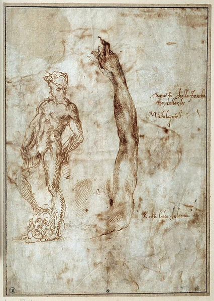 Nude study. Michelangelo Buonarroti dit Michelangelo (Michelangelo or Michel Ange