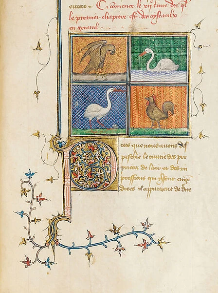 Page from De Proprietatibus Rerum by Bartholomeus Anglicus
