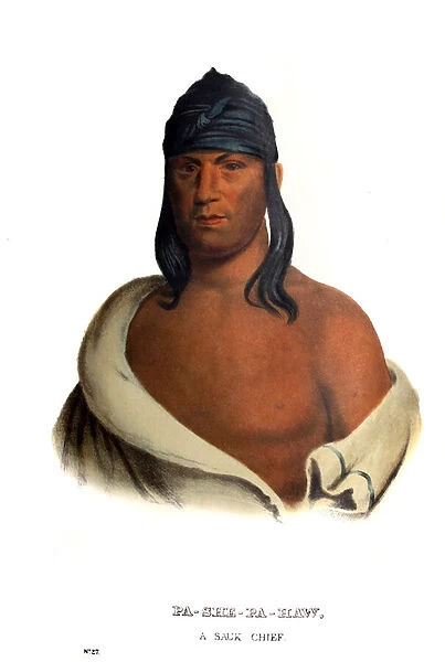Pashepahaw ( The Stabber ), a Sauk chief