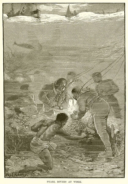 Pearl divers at work (engraving)
