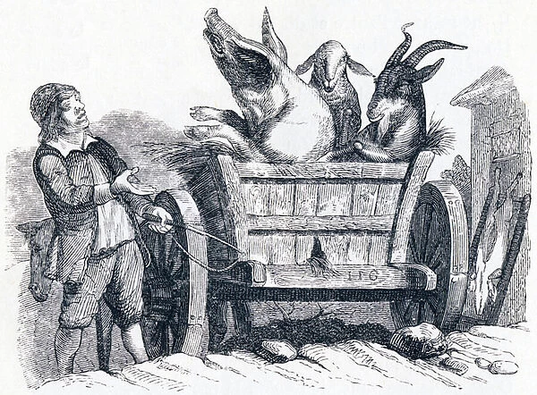 The pig, the goat and the sheep (le cochon, la chevre et le mouton