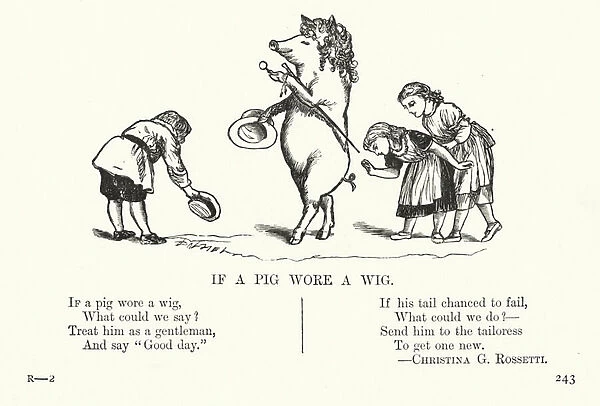 If a pig wore a wig (engraving)