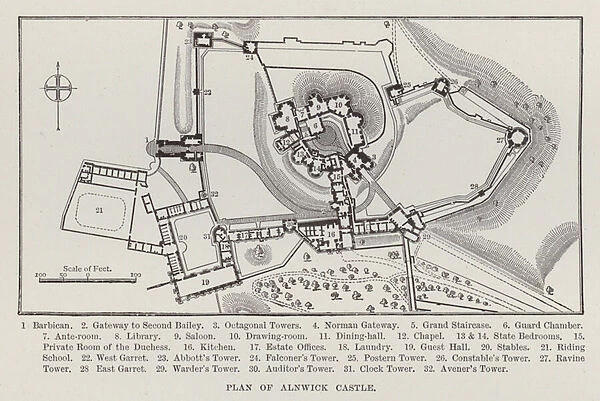 Plan of Alnwick Castle (litho)