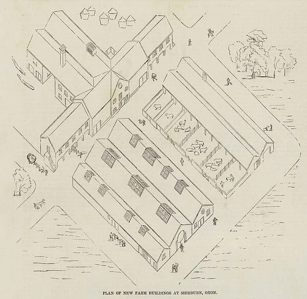 Plan of New Farm Buildings at Shirburn, Oxon (engraving)