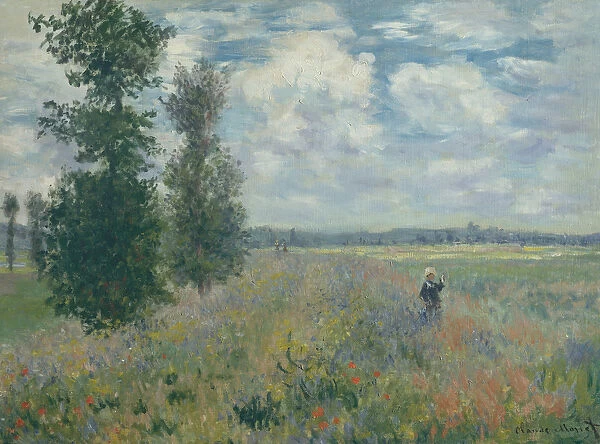 Poppy Fields near Argenteuil, 1875 (oil on canvas)