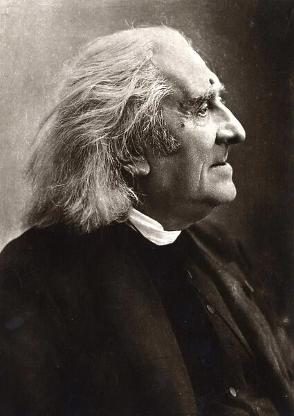 Portrait of Franz Liszt (1811-1886), Hungarian composer and pianist
