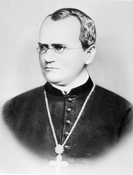 Portrait of Gregor Johann Mendel (b  /  w photo)