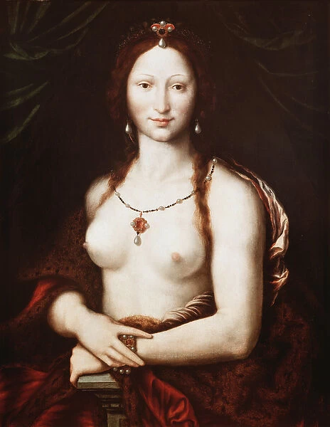 Portrait of Mona Vanna (oil on wood, 16th century)