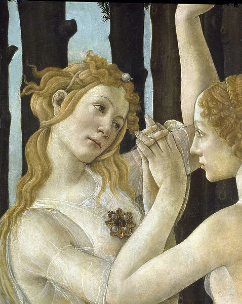 Primavera, c. 1478, (tempera on panel) (detail of 558)