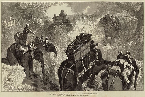 The Prince of Wales in the Terai, crossing a Nullah in the Jungle (engraving)