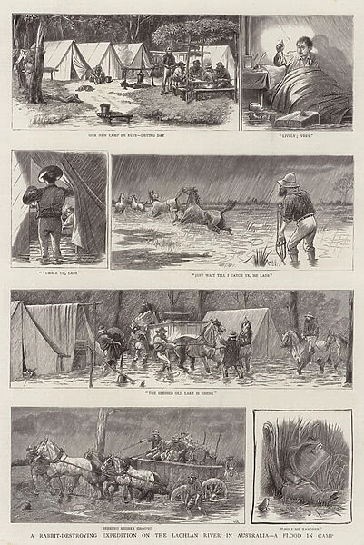 A Rabbit-Destroying Expedition on the Lachlan River in Australia, a Flood in Camp (engraving)
