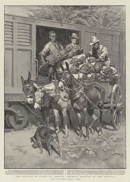 The Revival of Trade in Jamaica, loading Bananas on the Railway (litho)