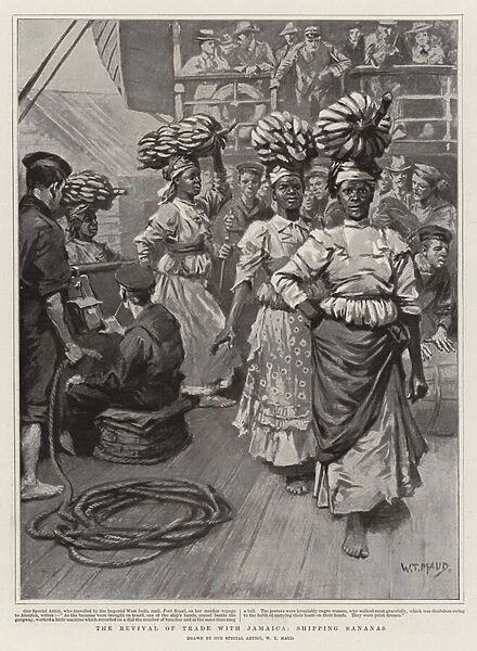 The Revival of Trade with Jamaica, shipping Bananas 1901 (litho)