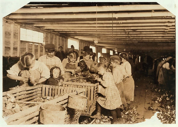 Rosy aged 8 works a 14 hour day as an oyster shucker at Dunbar Cannery, Louisiana