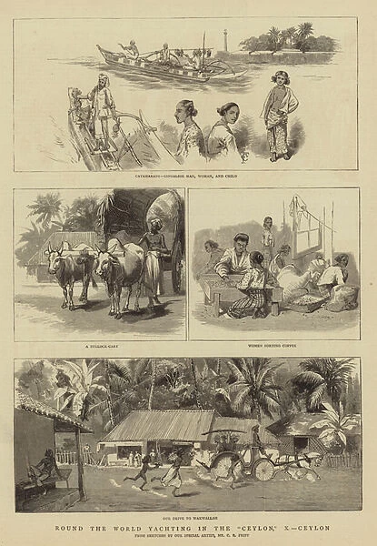 Round the World Yachting in the 'Ceylon', X, Ceylon (engraving)