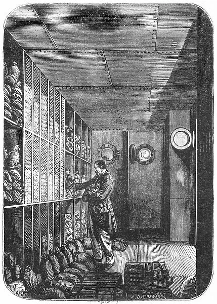 Safes at the Bank of France in Paris, 1897 (engraving) (b  /  w photo)