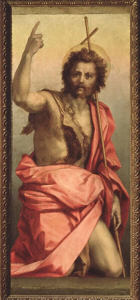 Saint John the Baptist, Altarpiece of St. Agnes (Painting, 1525-1528)
