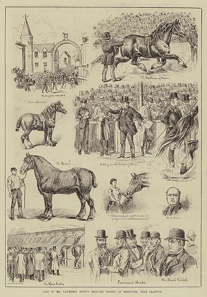 Sale of Mr Lawrence Drews Draught Horses at Merryton, near Glasgow (engraving)