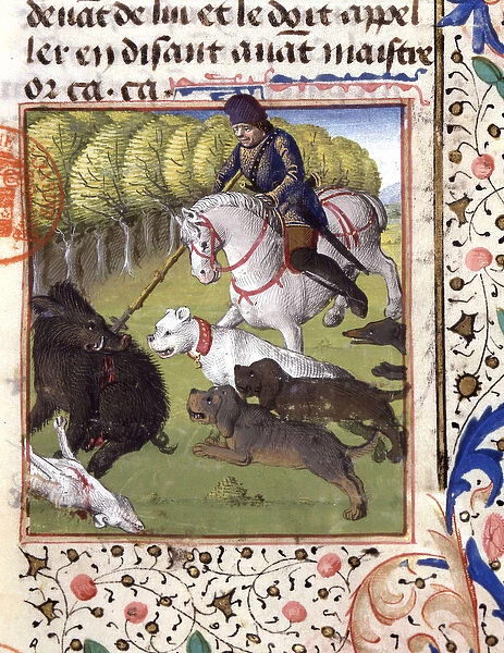 Scene of hunting with a wild boar - in 'Book of Hunting by Gaston Phoebus