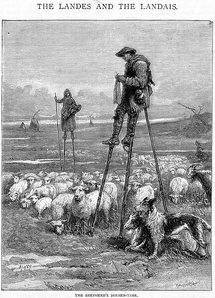 The Shepherds Dinner-time, engraved by Charles Butterworth (engraving)