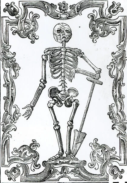 Skeleton with a Shovel (woodcut) (b  /  w photo)