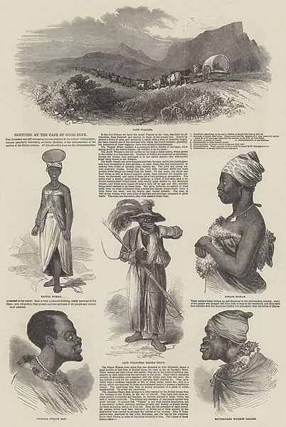 Sketches at the Cape of Good Hope (engraving)