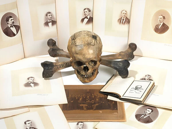 Skull-and-Bones ballot box (bone)