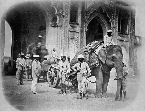 Soldiers with an elephant pulling a gun, 1858 (b  /  w photo)