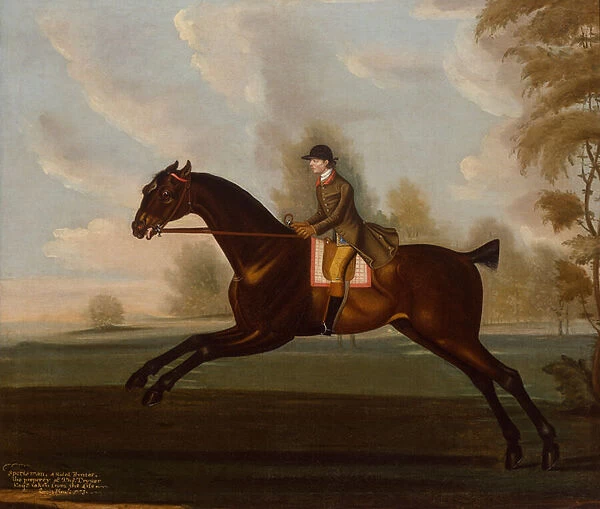 Sportsman, A Bay Hunter with Gentleman Up in a Wooded Landscape, 1773 (oil on canvas)