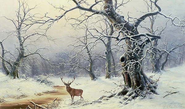 A Stag in a wooded landscape
