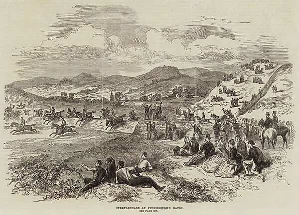 Steeplechase at Punchestown Races (engraving)