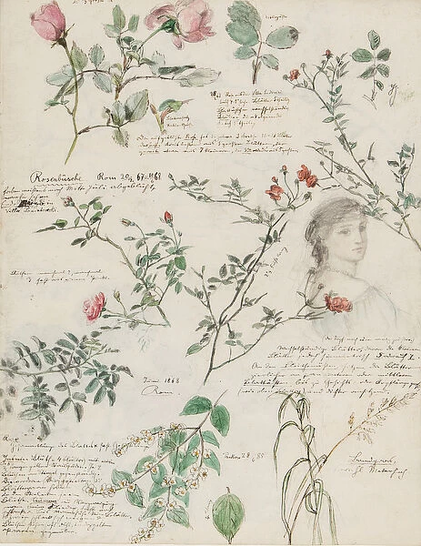 Studies of plants and figures made in Rome and Pankow, Berlin, 1868 (pencil