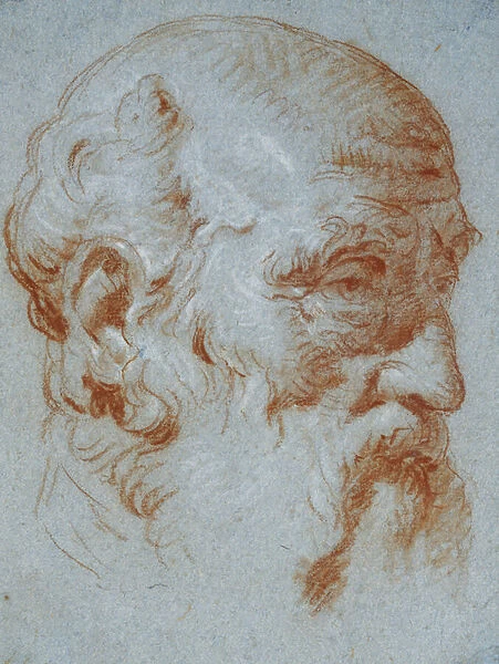 Study of the Bust of Giulio Contarini Seen from the Left (recto)